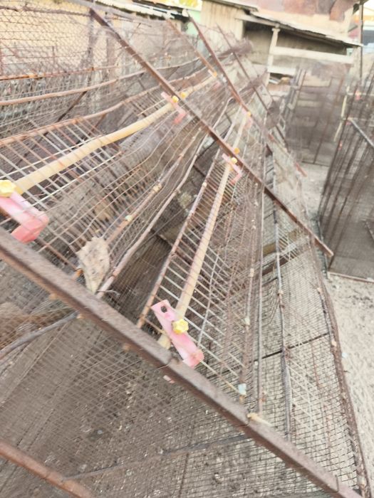 Продам клетки перепелиные