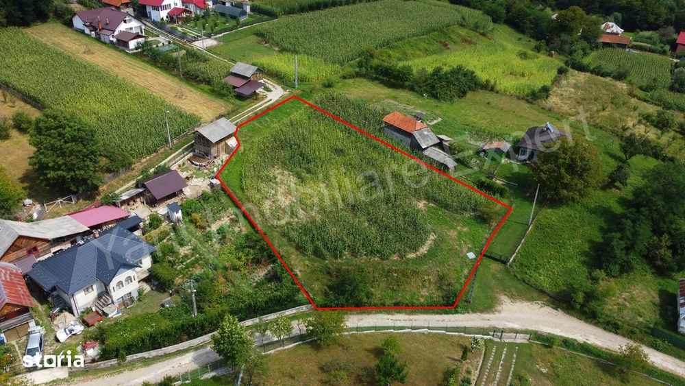Teren de vânzare în comuna Băiculești, sat Tutana, județ Argeș.