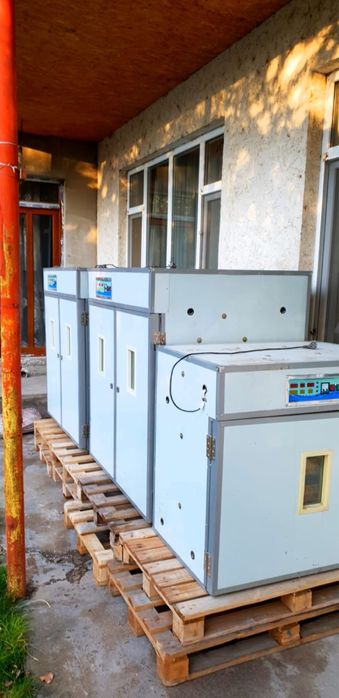 Продаётся страус