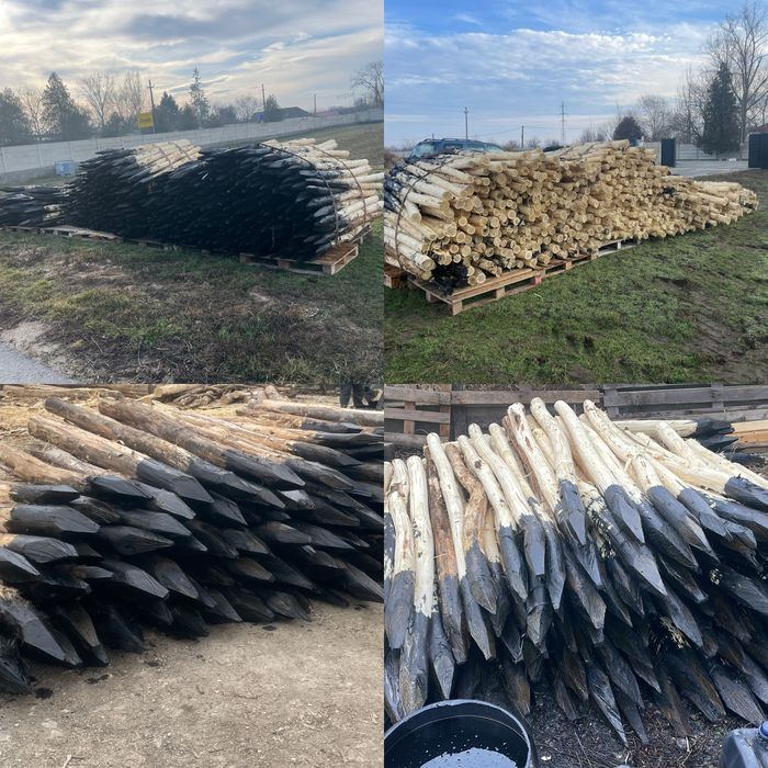 Stalpi/Pari de salcam pentru gard si Cherestea