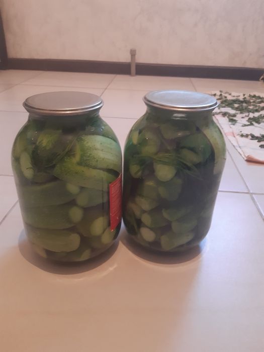 Соленье из огурцов