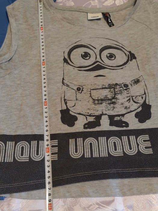 За фенове на "Аз, Проклетникът" и Миньоните