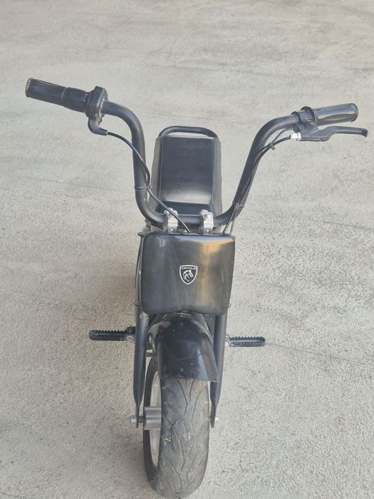 SKUTER cavalo brendi