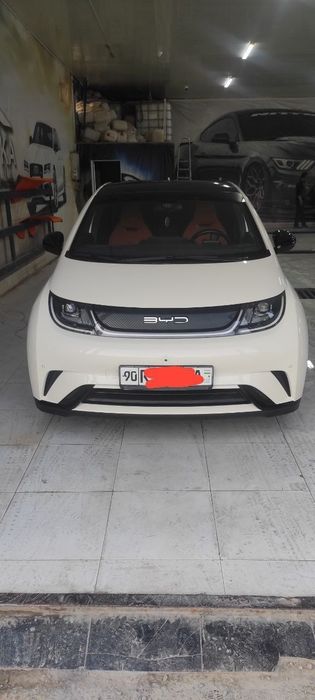 BYD Dolphin 2023