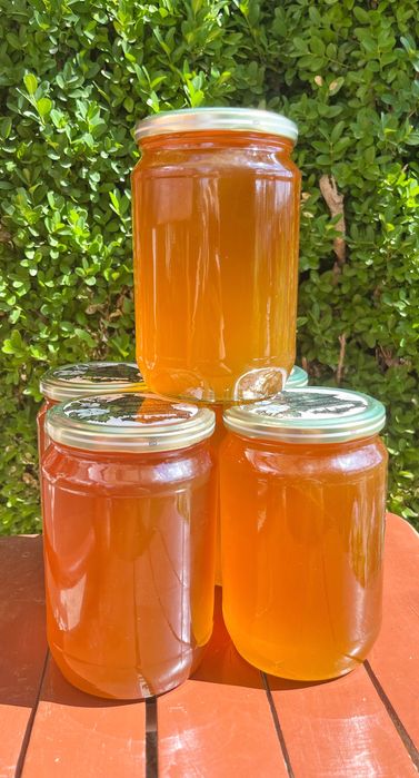 Чист Пчелен Мед от Странджа