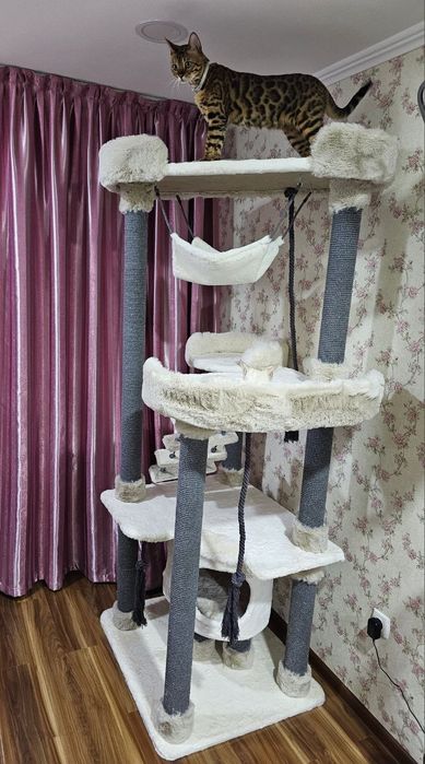 Игровые комплексы и когтеточки для кошек