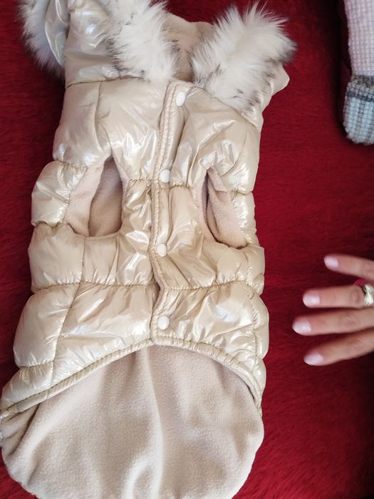 Елече за домашен любимец