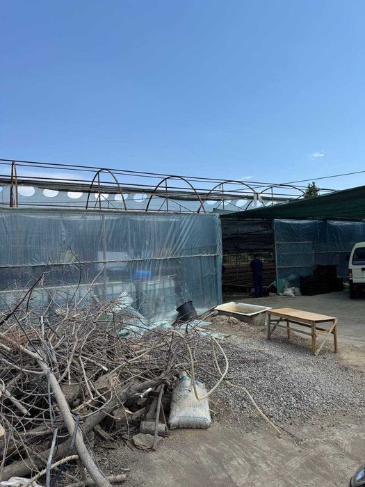 Иссикхона сотилади