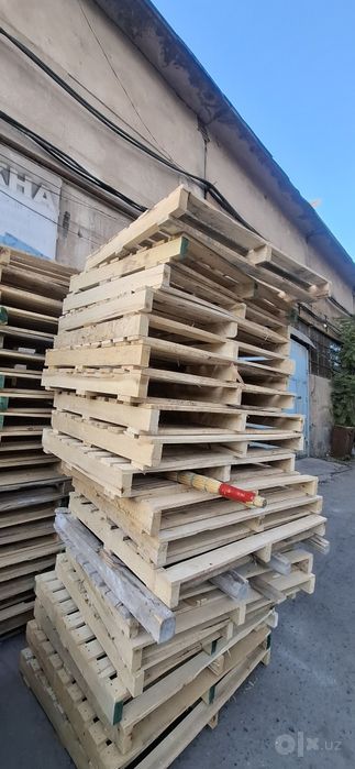 Paddon taxta 120×100