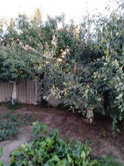 Частный дом - 4 комнаты