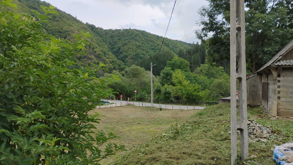 Casa de caramida la rosu, 3765mp teren intravilan, Valea Ariesului, AB
