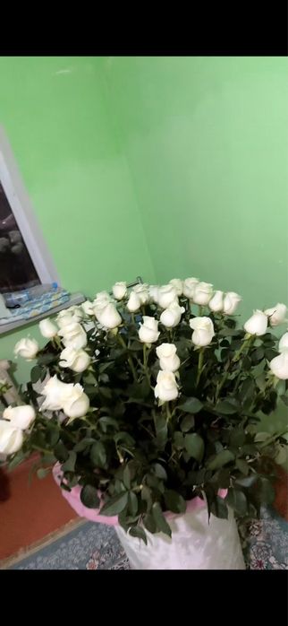 Роза букет свежи