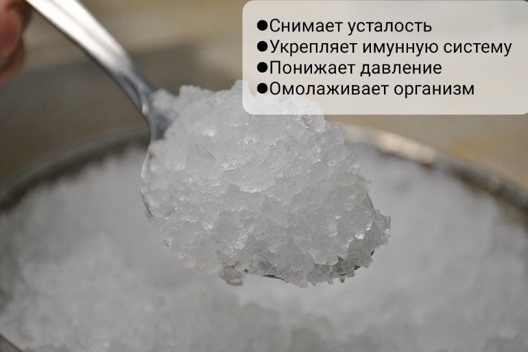 Рисовый гриб (Индийский)