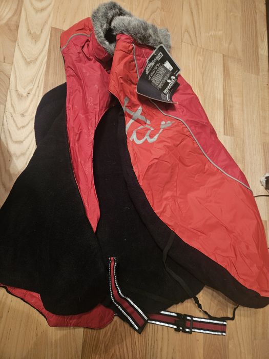 Haine căței talie medie -mare