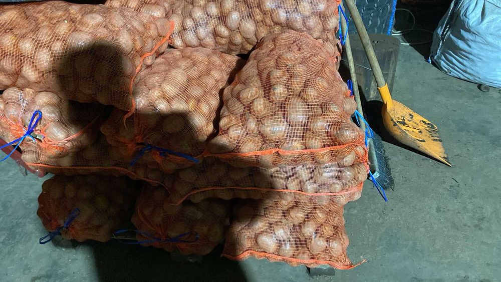 Cartofi samanta soiul Colomba(certificat + eticheta) si Laura