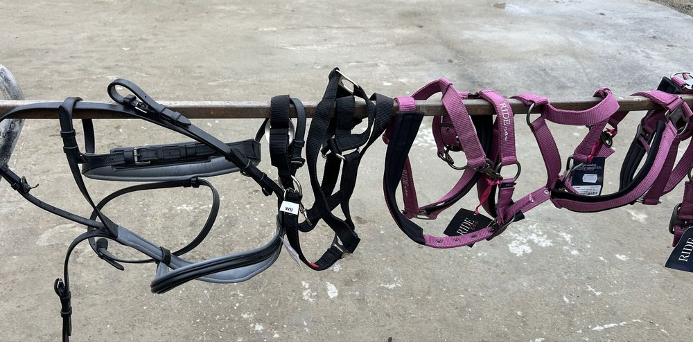 Șei/Căpestre pentru cai