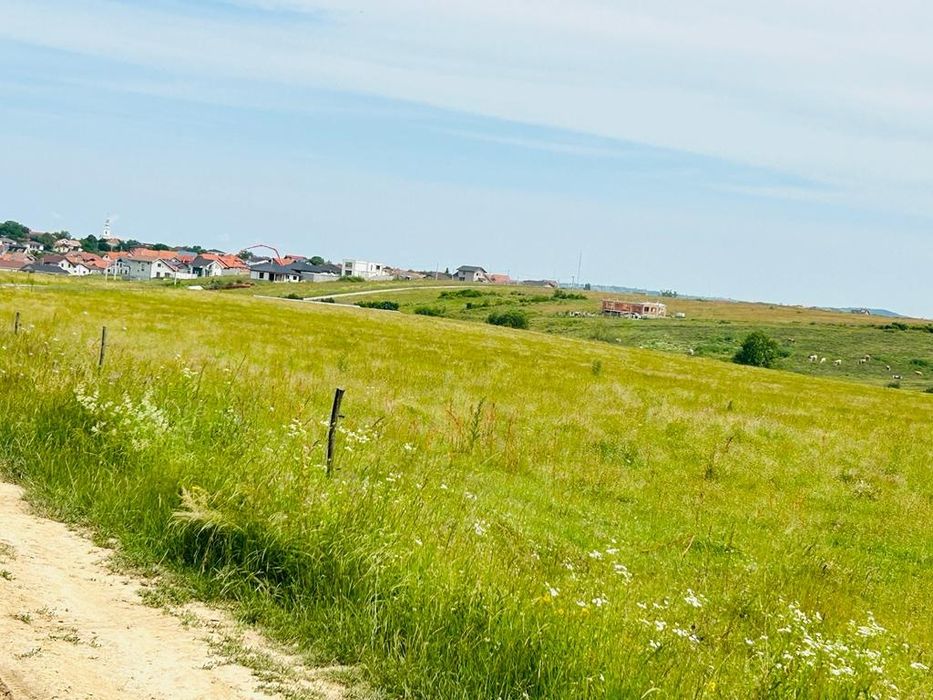 Vând teren intravilan in Cihei