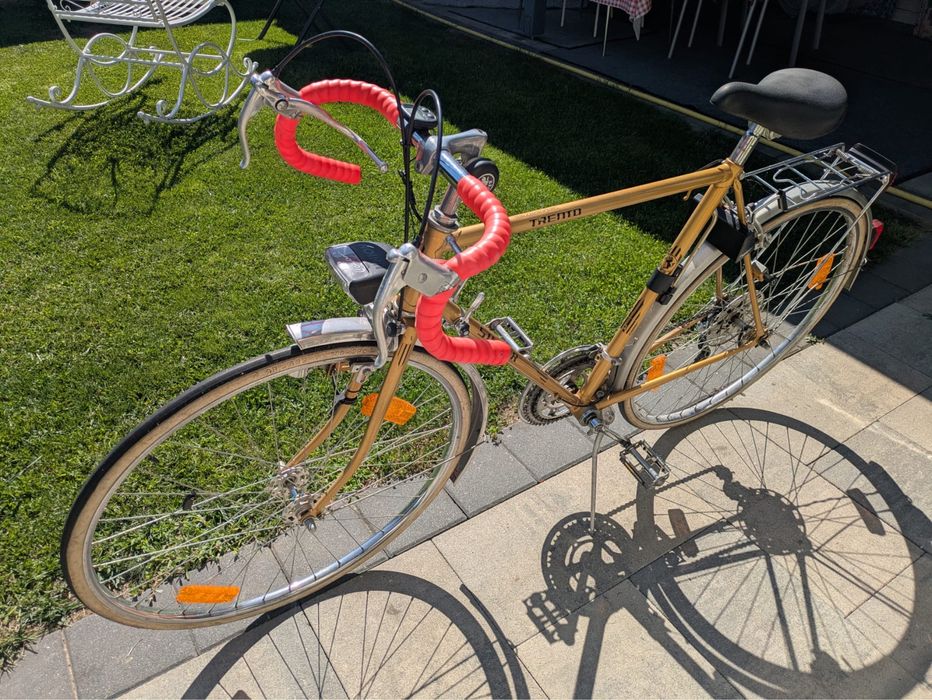 Bicicleta Semicursiera Steiger