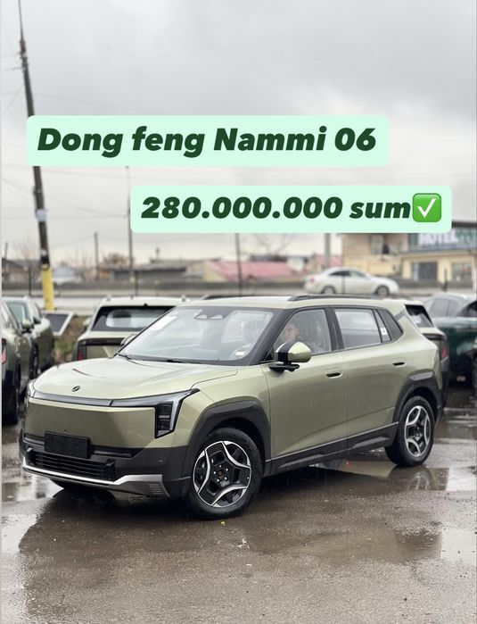 Dong feng Nammi 06