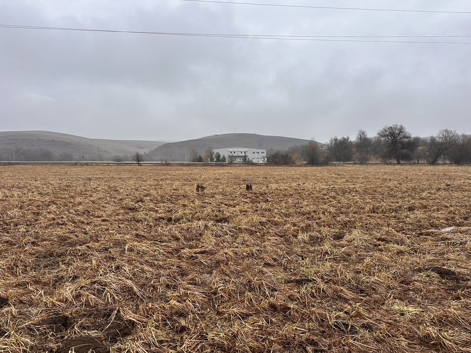 Vand TEREN INTRAVILAN 10.000 m2 ,front 50 ML la DN E-60 CAPUSUL MARE