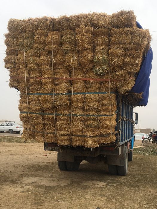 Zil 4331 yevro diska