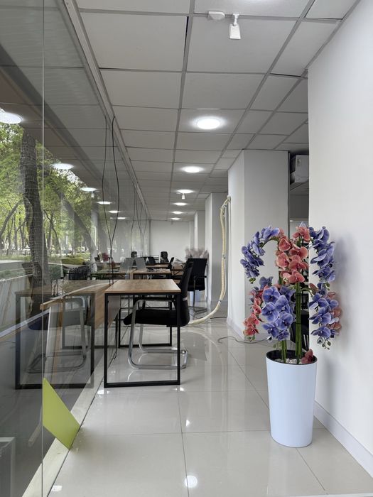 O'quv markaz va offis uchun ijaraga joy / Novza metro