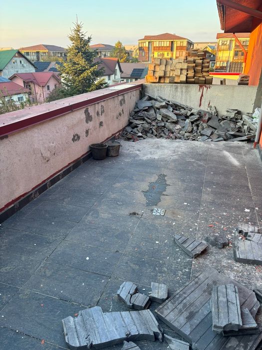 Taiere copacii toaletare debarasare decopertari demolari 24/7