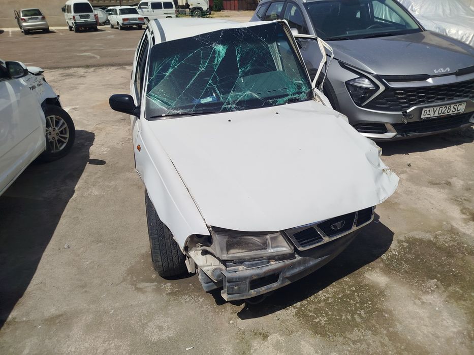 Аврийний нексия1