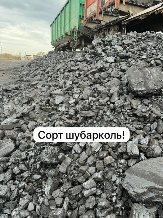 Уголь. Рапид. Шубаркуль. Кузнецкий.