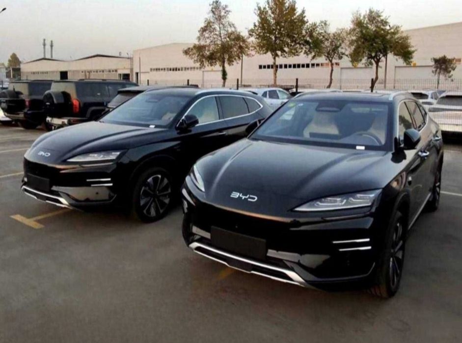 Byd champion Smart restayling 2026