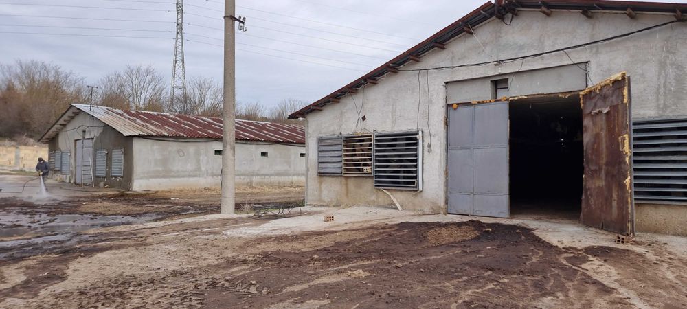 Продава се Промишлена сграда в с. Ушинци, Област Разград - 1620 кв.м за 189 €/кв.м - Снимка #9