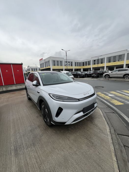 bydsealion05restailing