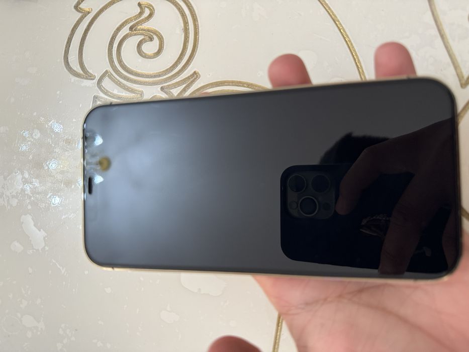 Iphone 12 PRO MAX 256gb