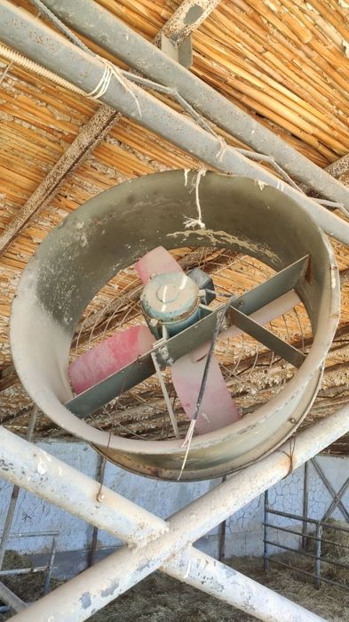 Вентилятор ферма товук хоналар учун.