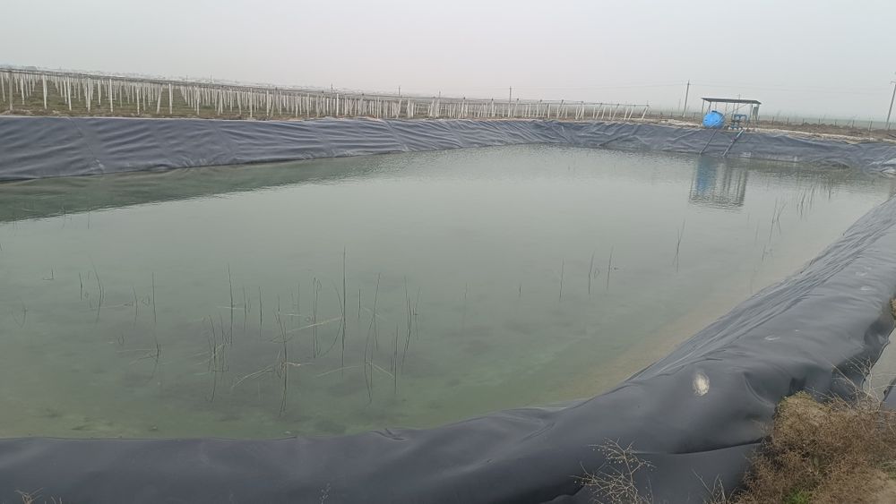 Uzim bog' kop yilga ijaraga beriladi