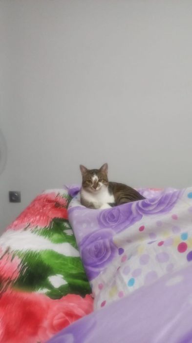 продавец атырау 26