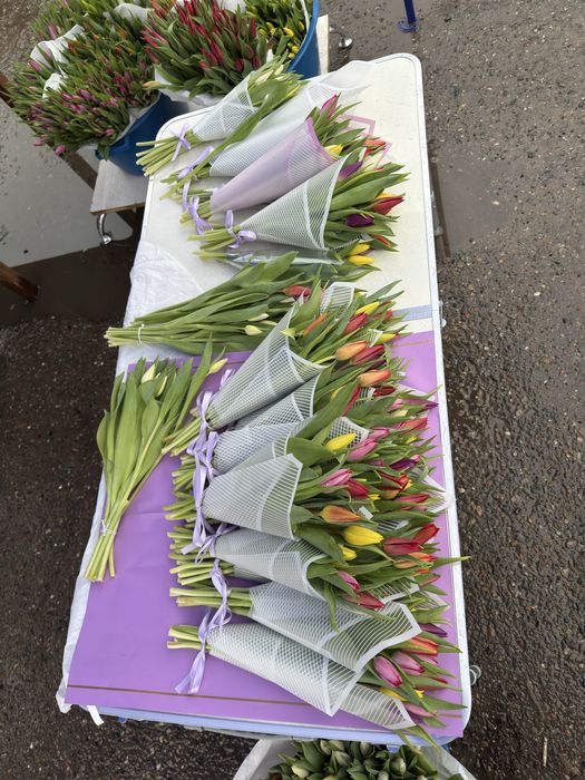 Тюльпаны розница/опт