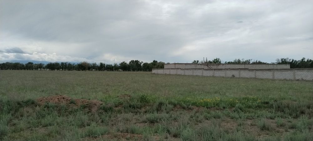 Продам коммерческие помещение 50 соток