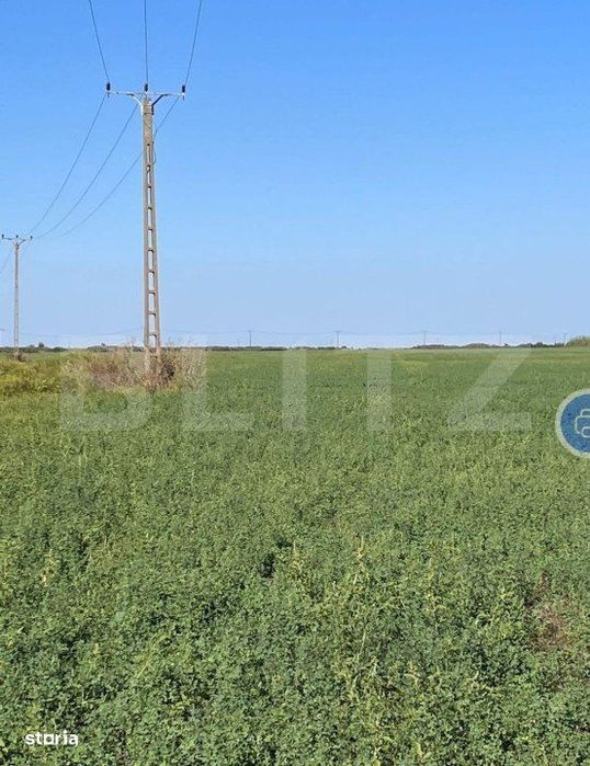 Teren arabil, 25 ha, Giulvaz-Foeni, front stradal 280 ml