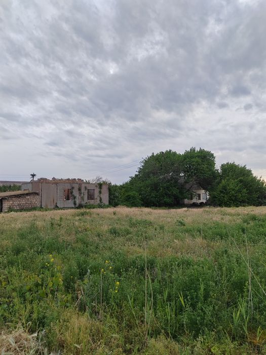 Дачный участок с рыбным хозяйством