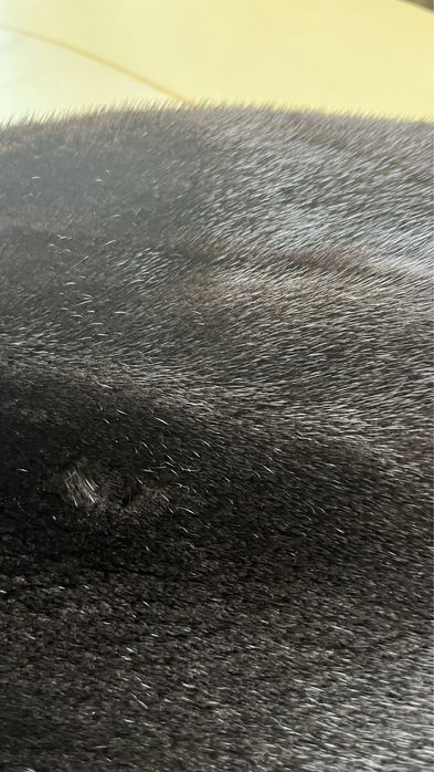 Норковая шуба BLACKGLAMA