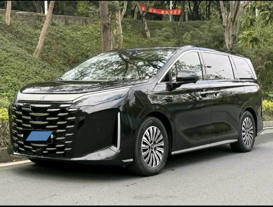 BYD Xia 7 ta urindiqli miniven