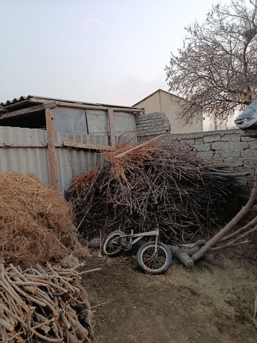 Тайер Утин сотилади нархи келишилган холда