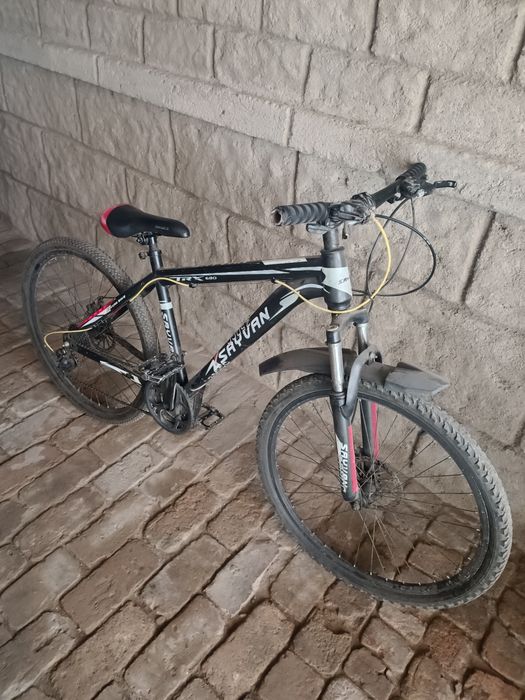 Velosiped sayvan