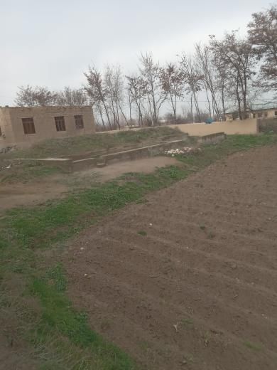 “Tayloqda 14 sotix yer sotiladi, uy qurish uchun, hujjati bor”