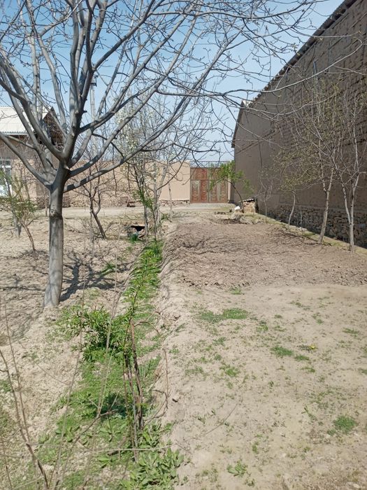 15/40метир атрофи уралган мевали дарахтлари бор