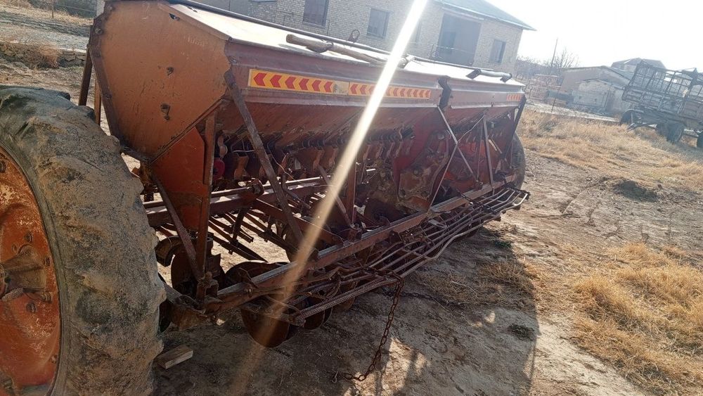 G'alla selka yaxshi holatda