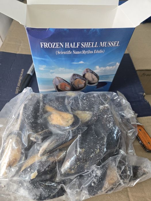 Мидии в половине раковины