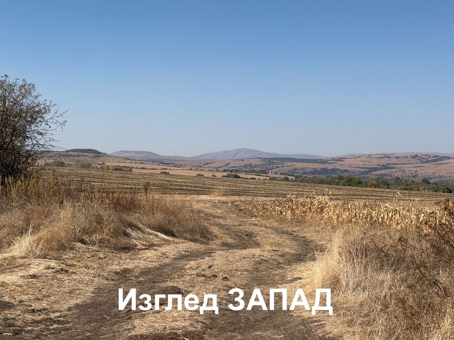 Продава се Парцел в с. Петърч, Област София-област - 6475 кв.м за 19 €/кв.м - Снимка #5