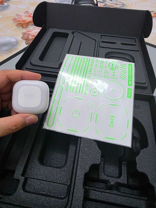 Emo Go Home AI Robot (5-6 marta foydalanilgan)